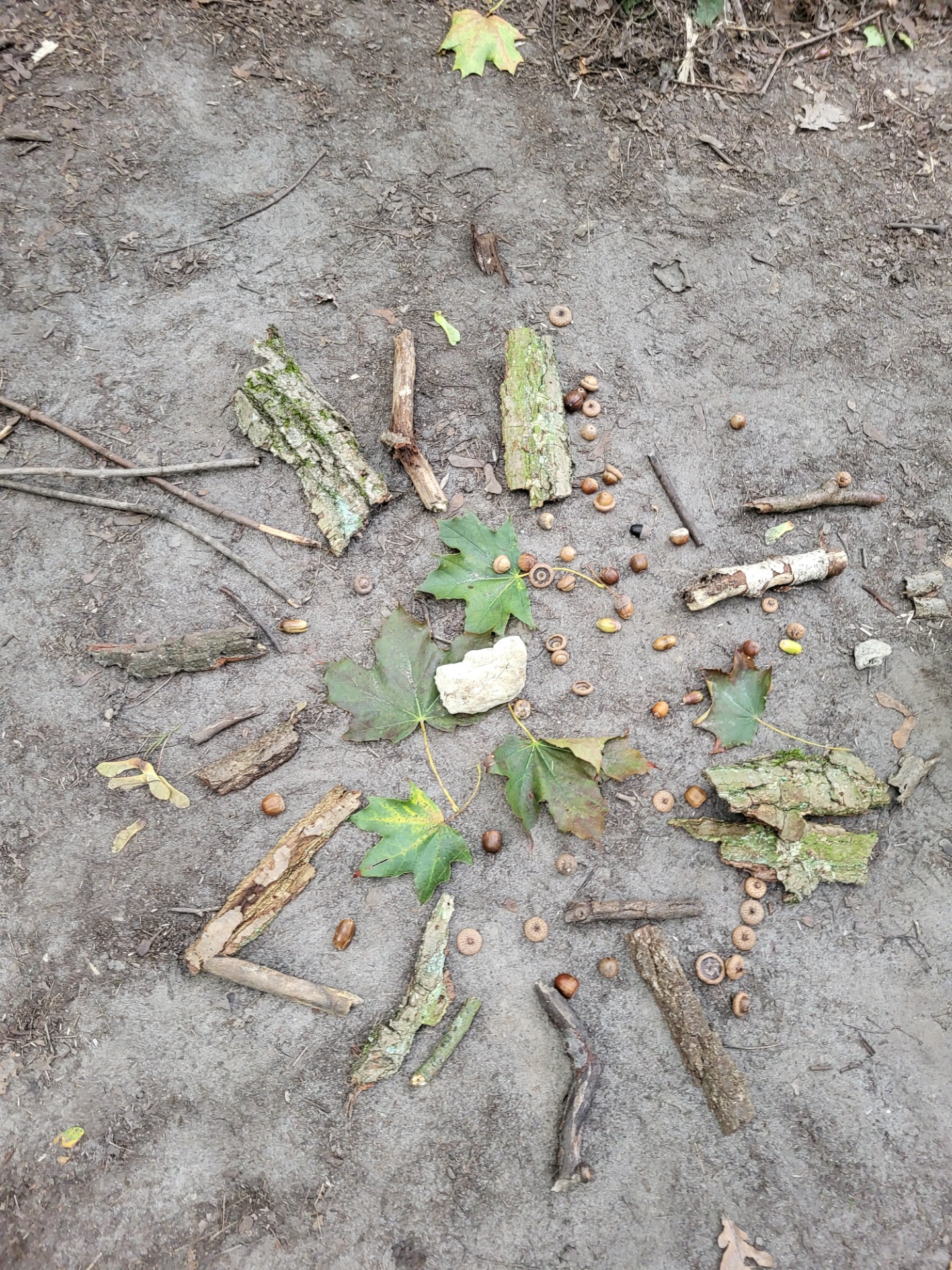 Die Kinder gestalten Mandelas im Wald
